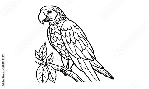 Macaw Kids t shirt design silhouette and vector line art, Detailed High-Quality Line Art, Suitable for Adult Coloring Books, Stress Relief, Relaxation, and Printable Art Therapy Projects.