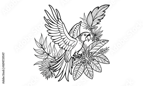 Macaw Kids t shirt design silhouette and vector line art, Detailed High-Quality Line Art, Suitable for Adult Coloring Books, Stress Relief, Relaxation, and Printable Art Therapy Projects.
