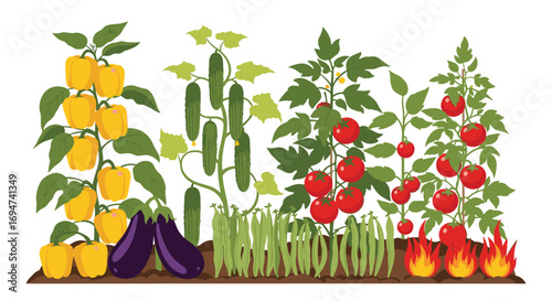 A vibrant vegetable garden bursting with fresh produce and growing with abundance