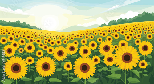 Vast field of sunflowers under a bright summer sky with gentle rolling hills in the distance