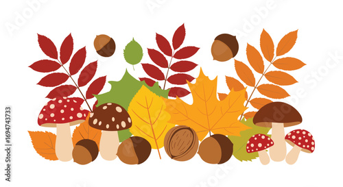Autumnal harvest collection of colorful leaves mushrooms and nuts decorations celebrating the fall season
