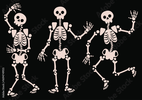 Halloween skeletons poses and movements.  Spooky characters vector set.