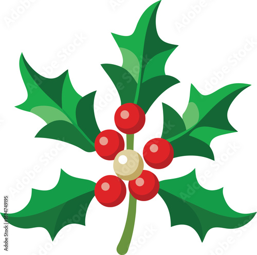 Vector holly leaf with red berries illustration