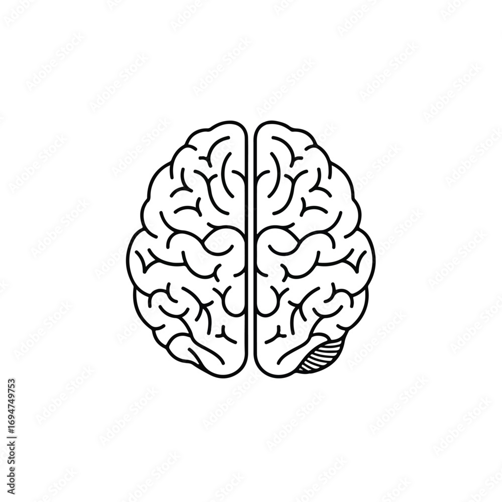 Fototapeta premium A simple 2D flat vector illustration featuring a clean, minimalist human brain outline presented clearly on a plain white background, symbolizing thought and intelligence.