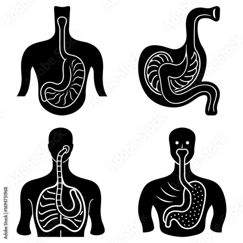 Anatomical illustrations showing the human digestive system with esophagus and stomach in black and white