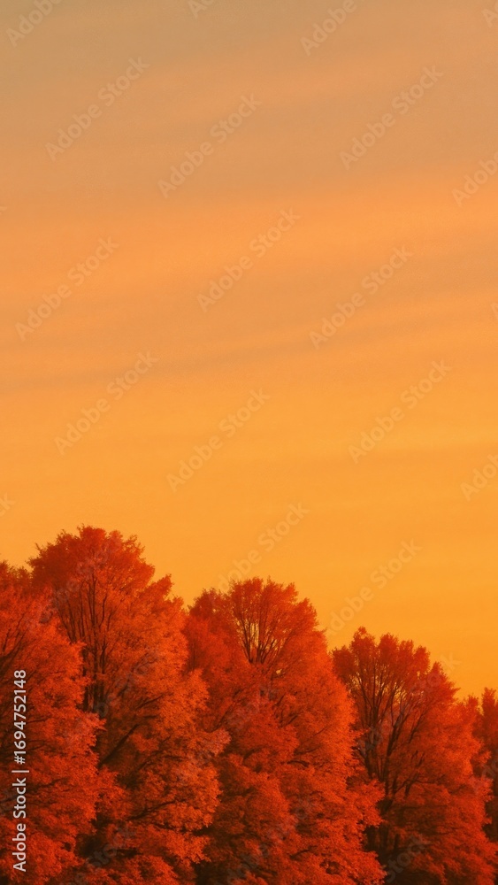 Naklejka premium [calm sky with warm gradient over autumn trees cinematic grain mobile wallpaper]