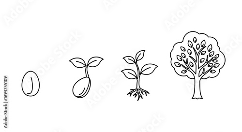 Detailed illustration of the plant life cycle, from a small seed to a fully grown tree, showcasing the various stages of growth and development in nature's ecosystem