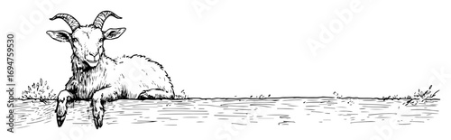 curious goat peeking over a fence hand drawn sketch illustration