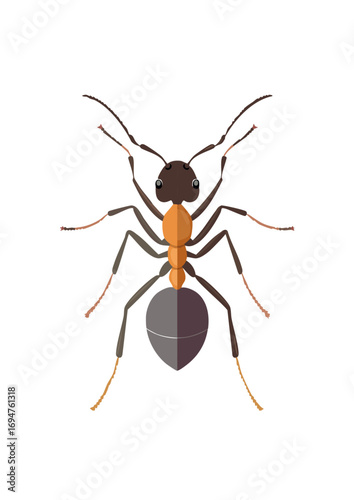 Playful Flat Vector Illustration of an Ant – Modern and Clean Design