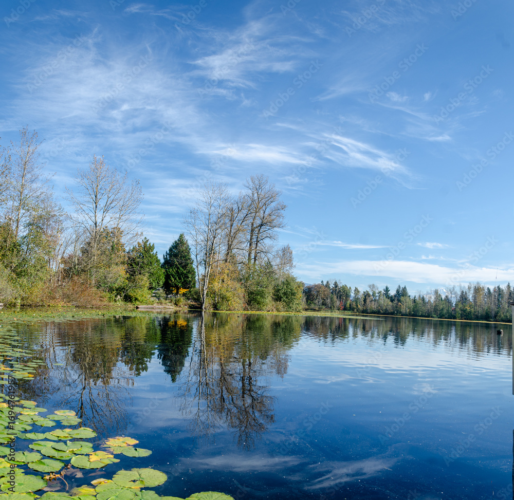 Fototapeta premium Mill Lake in Abbotsford, BC, Canada
