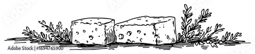 ancient greek cheese with herbs – monochrome outline vector illustration