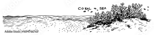 coral sea coastline – monochrome outline vector illustration