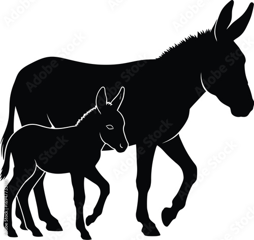 Silhouette of a mother donkey and her foal walking together in a gentle stride.