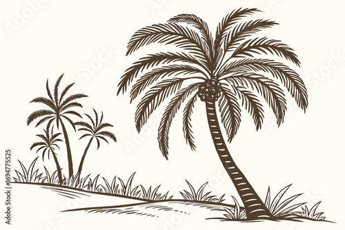 palm tree vector illustration