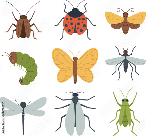 set of insects