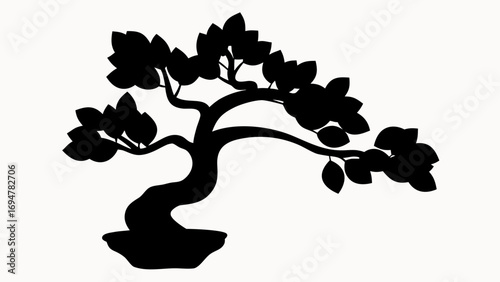 Silhouette of a bonsai tree with leaves in a pot against a white background showing details of the tree 100