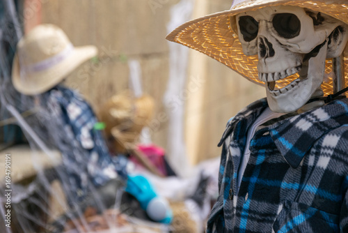 Spooky farmer skeletons wearing plaid shirts and straw hats