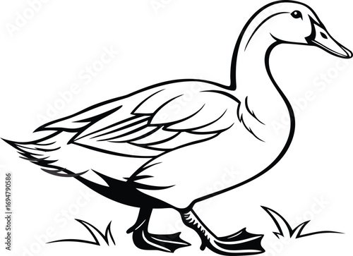 Stylized Duck Illustration Graceful Waterfowl Standing in Simple Grass Black and White Simplicity