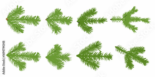 Collection of eight isolated green fir tree branches on a white background