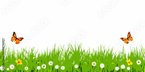 Vibrant green grass with delicate white daisies and yellow flowers with two orange butterflies flying in a bright white background