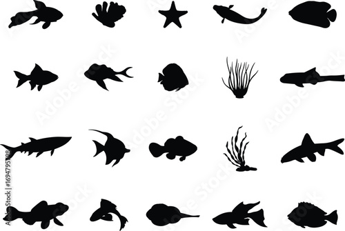 Marine life silhouettes, aquatic biodiversity, ocean species, coral and fish forms, underwater nature, sea creatures, biology, reef, illustration