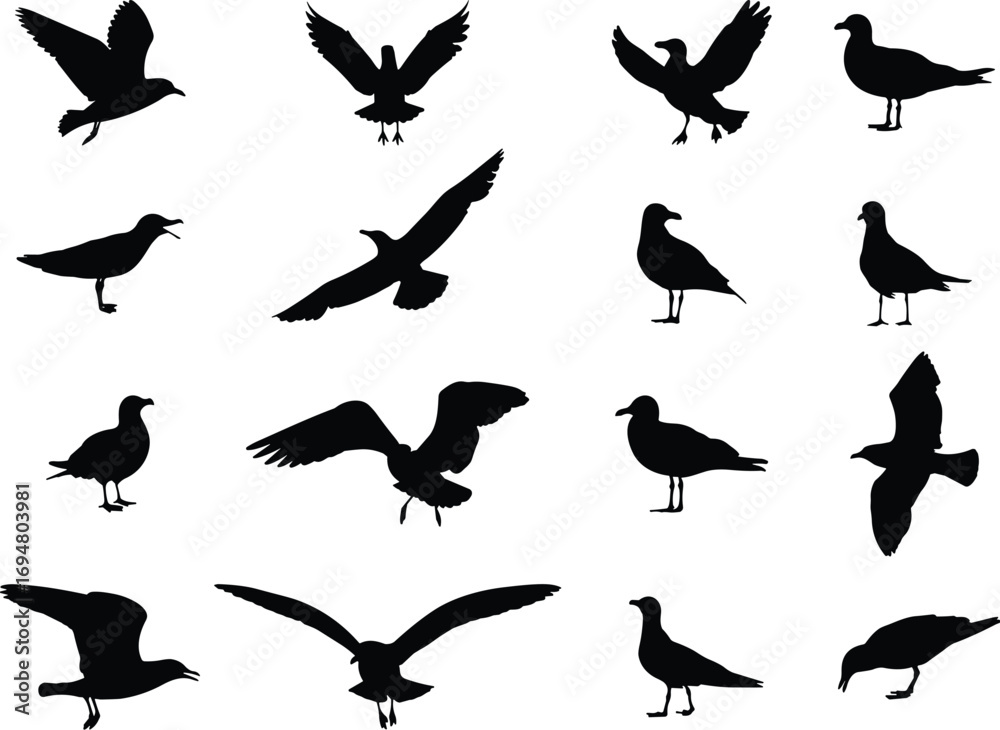 Fototapeta premium Silhouettes of birds in flight and perched, diverse avian shapes, black bird icons, wildlife design elements, vector illustration