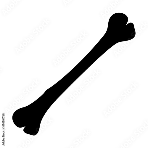 Bone anatomy illustration vector graphic skeletal system medical diagram bone structure design element