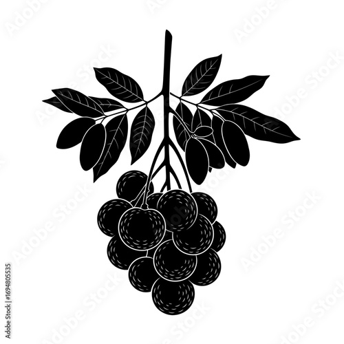 Bunch of ripe lychee fruit with leaves silhouette isolated on white background