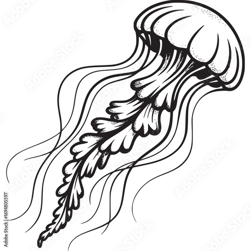 A black and white jellyfish illustration isolated on white background, showcasing its graceful and ethereal form