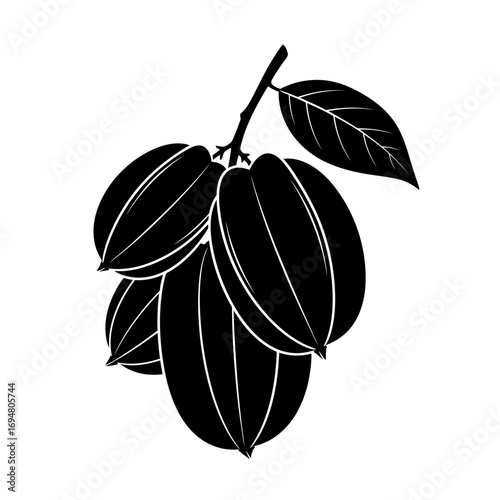 Star fruit cluster silhouette isolated on white background