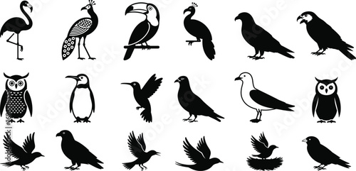 Collection of black bird silhouettes on white background
