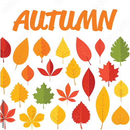 Autumn forest maple leaf in september season, flying orange foliage from tree on ground transparent background