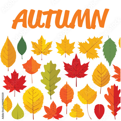 Autumn forest maple leaf in september season, flying orange foliage from tree on ground transparent background