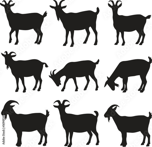 Collection of nine black goat silhouettes in various poses on a white background