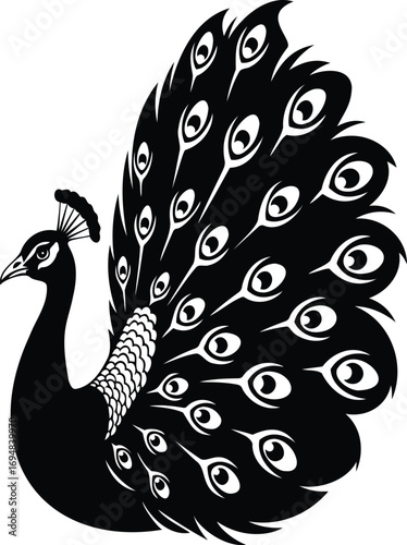 Majestic Peacock Silhouette: A graceful peacock, its elaborate tail feathers fanned in a stunning display of intricate patterns, stands in proud silhouette.