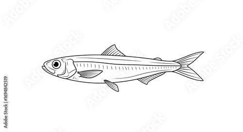 Wallpaper Mural Fine‑Line Anchovy Illustration, Engraving Style Monochrome (PNG). Torontodigital.ca