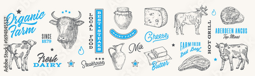 Cow farm hand drawn food vector symbols illustration with typography compositions. Dairy and meat logo silhouette signs with cows, beef steaks, cheese and milk collection Butchery design elements set
