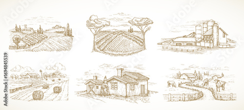 Farm Sketch Rustic Landscape Illustrations Set. Hand Drawn Vector Countryside Village Vineyard with Domestic Cattle Cow Animals, Haystacks Doodle. Engraving Style Pasture Drawing. Isolated