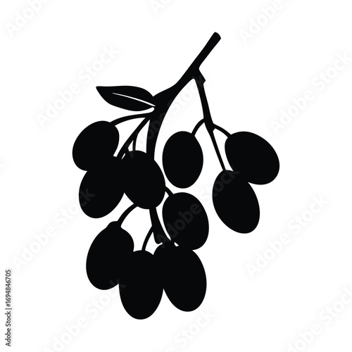 Download fresh olive branch vector illustration for mediterranean diet and healthy food design needs