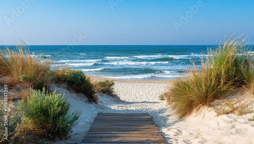 Tranquil beach path