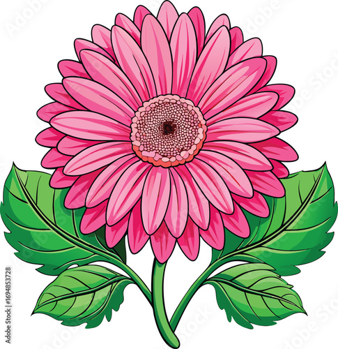Pink Gerbera Daisy Flower with Two Green Leaves on Black Background vector illustration