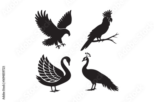 Silhouettes of four distinct birds including an eagle parrot swan and peacock