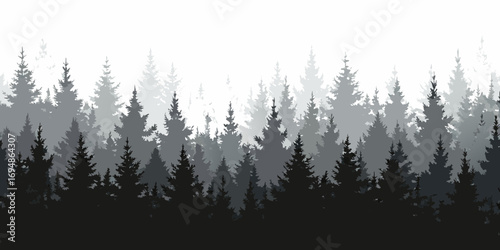 Monochromatic gradient of evergreen forest silhouette against a bright white sky