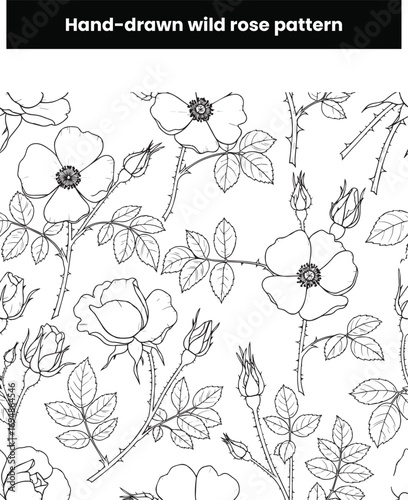 Real estate   Hand-drawn wild rose pattern design