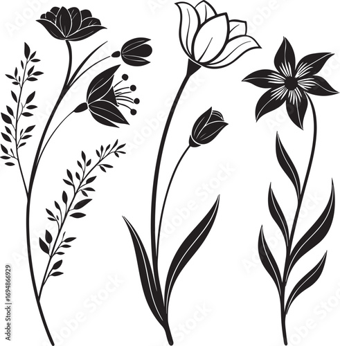 Fotografie black and white floral background