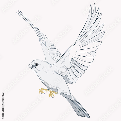  black line drawing of canary bird in flight with lines to write on, on white background