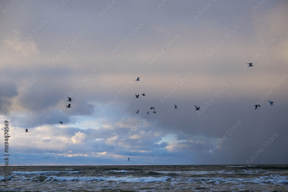 Fototapeta premium Majestic seagulls soaring above tranquil ocean waves under a dramatic sky, showcasing the beauty of nature and the vibrant colors of sunset with copy space