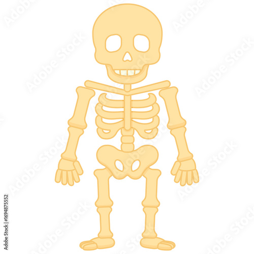 Human Skeleton Flat Icon