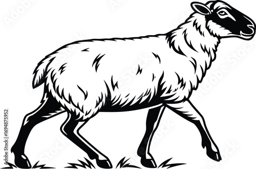 Majestic Sheep Illustration Black and White Farm Animal Art