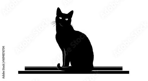 black cat on white